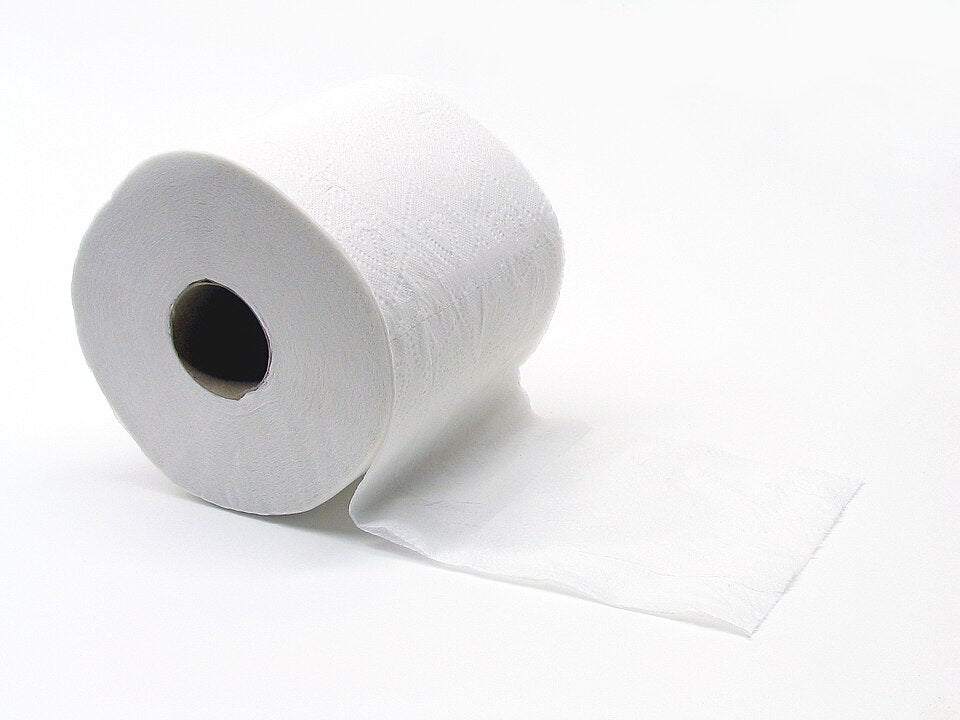 Toilet paper rolls