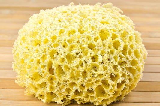 Cleaning sponges