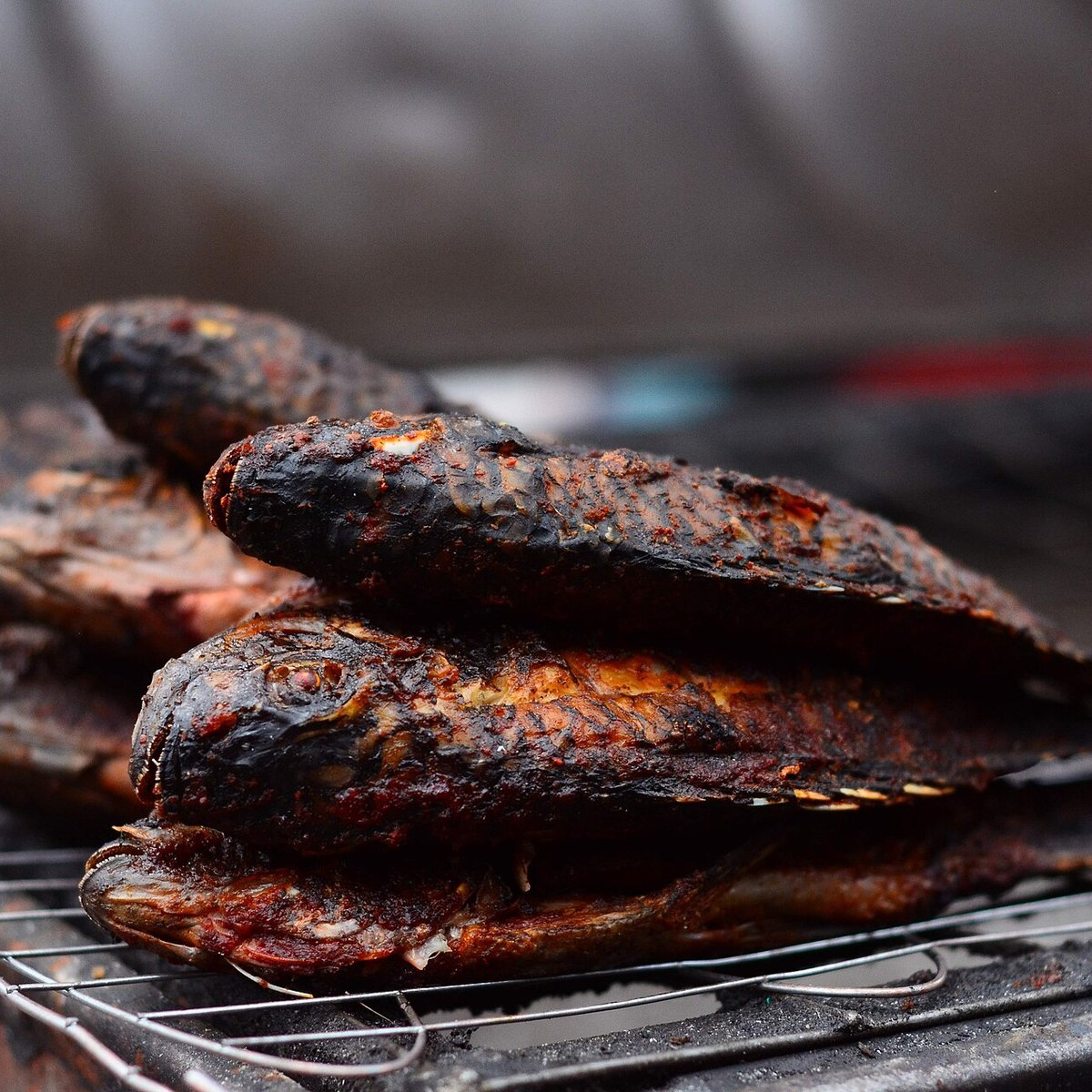 Grilled whole tilapia